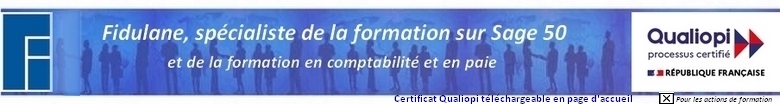 Formation Sage 50 Comptabilité & Ciel Comptabilité, par formateur spécialisé