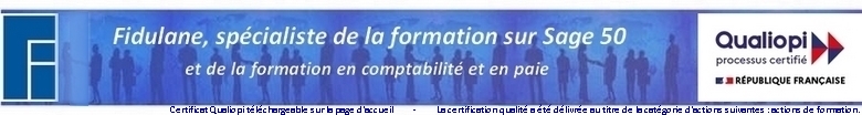 Formation Sage 50 & Ciel Gestion Commerciale, perfectionnement, sur mesure, par formateur certifi Qualiopi